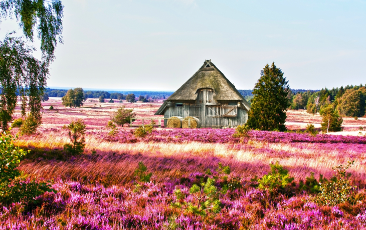 Lüneburger Heide, Deutschland