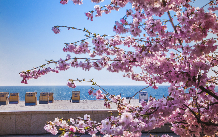 Grömitz im Frühling