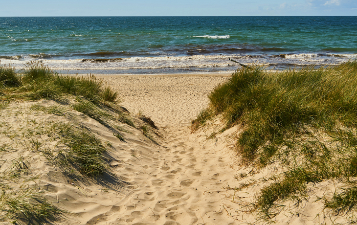 Weg durch Dünen zum Sandstrand