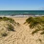 Weg durch Dünen zum Sandstrand