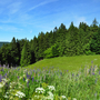 Panoramafoto vom Thüringer Wald