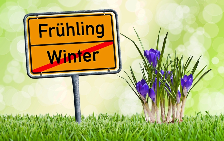 Frühling